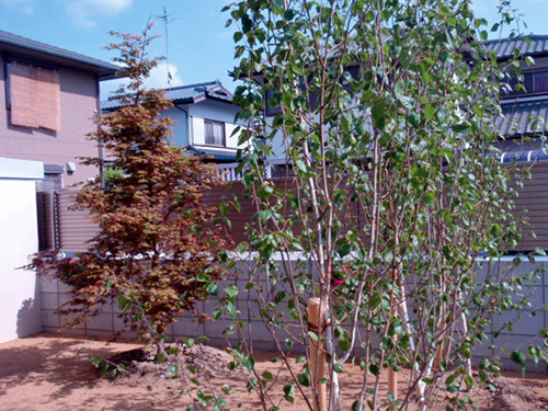 憧れの植木達。河内長野市　O様邸