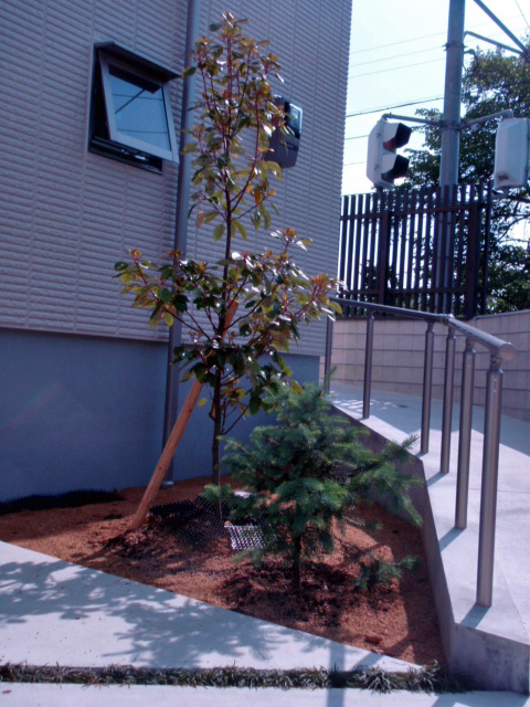 憧れの植木達。河内長野市　O様邸