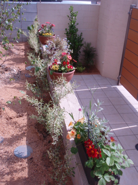 憧れの植木達。河内長野市　O様邸