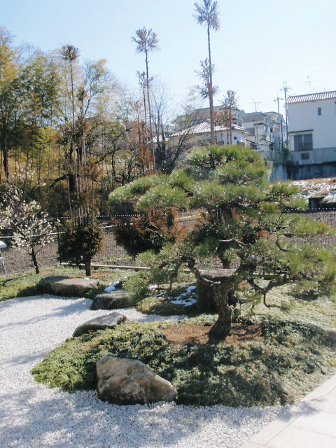 白砂利がポイント　和風庭園　堺市　O様邸