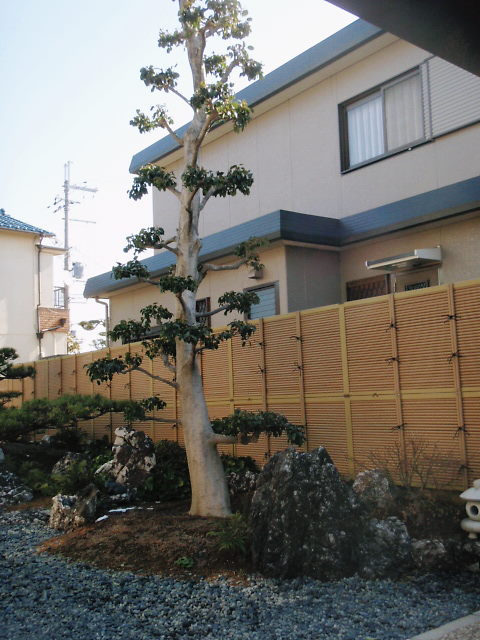 松が主役和風庭園 堺市 I様邸